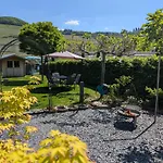 בית הארחה Gaestehaus Bollig 3*